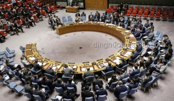 美国一票否决加沙人道决议草案案例研究